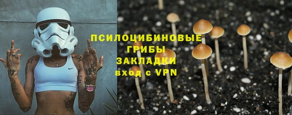 мет Пересвет
